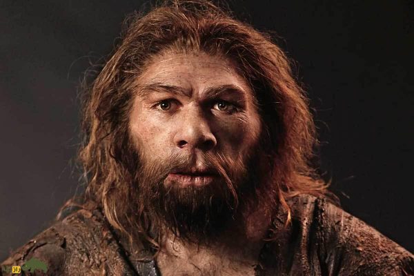 Neandertal