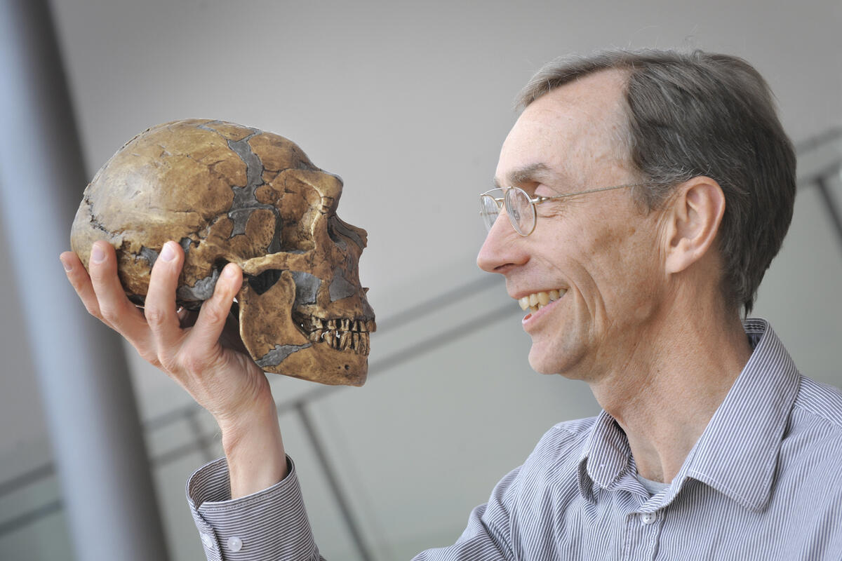 Craniul Vechi De Un Milion De Ani Care „Schimbă Complet” Înțelegerea Noastră Asupra Evoluției Umane, Potrivit Oamenilor De Știință
