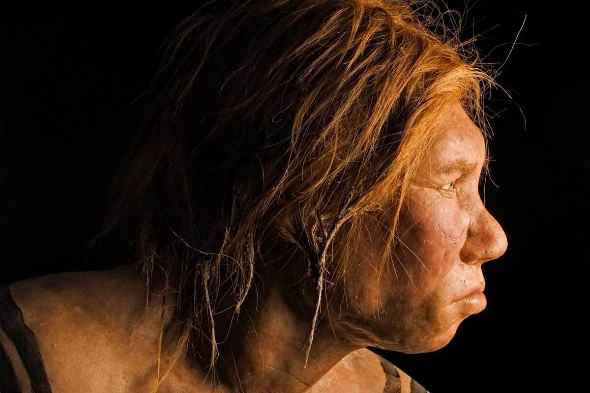 Reconstrucția Feței Unui Neandertal Găsit Într-O Peșteră Franceză: Așa Arăta „Bătrânul” Care Ne Provoacă Tot Ceea Ce Credeam Despre Verii Noștri Evolutivi