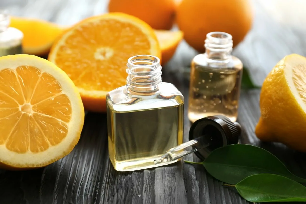 Repelent Natural Pentru A Alunga Muștele Când Mănânci În Aer Liber: Rapid, Curat Și Fără Mirosuri Puternice