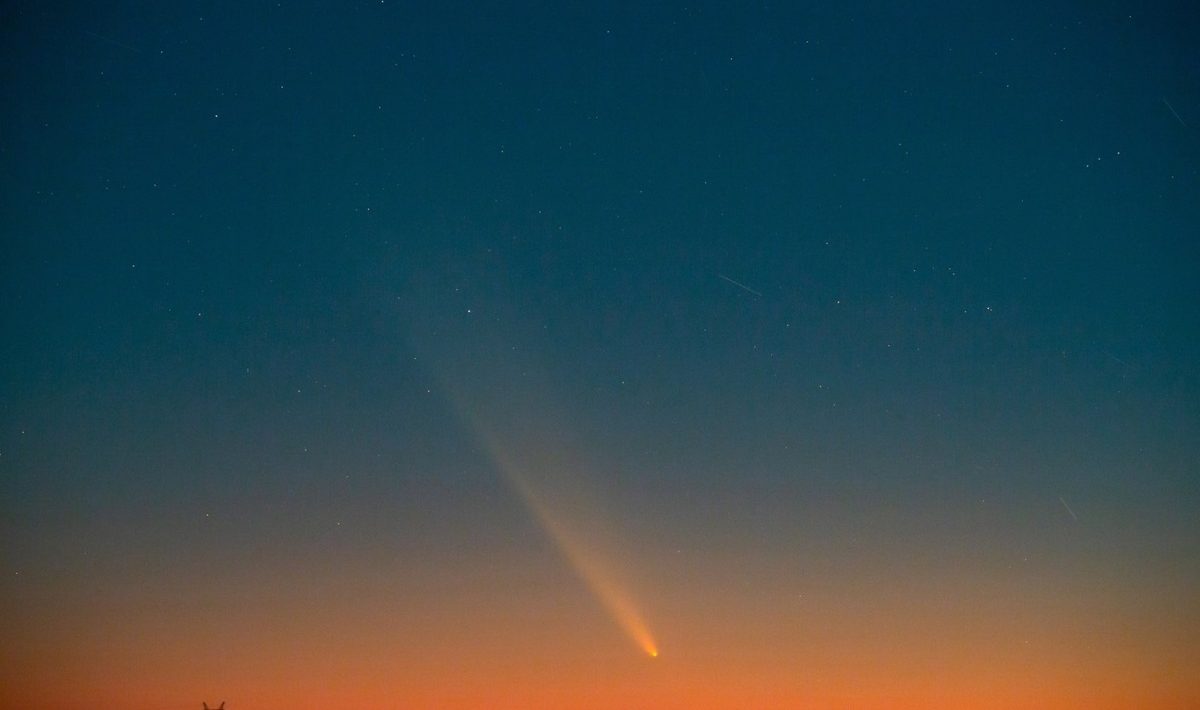 Cometă